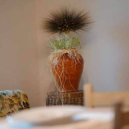 Nuxis L'Oliveto 아파트 외부 사진